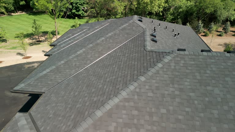Best Roof Ventilation Installation  in Sebastian, TX