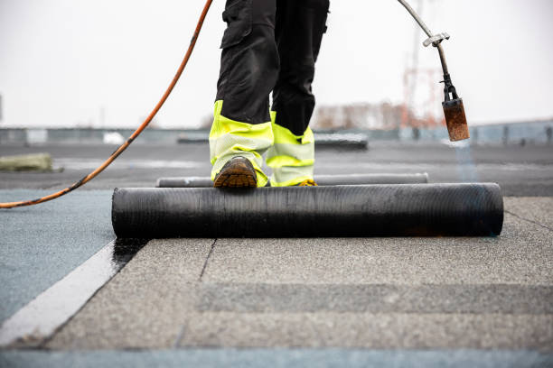 Best Roof Ventilation Installation  in Sebastian, TX